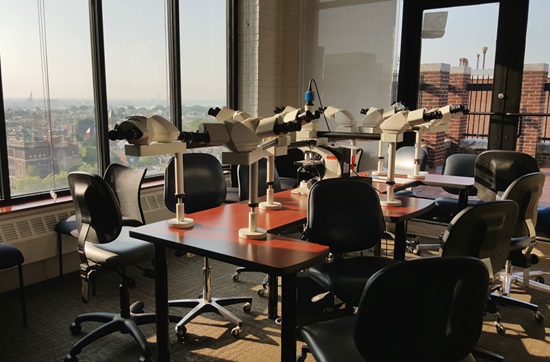 Microscope room